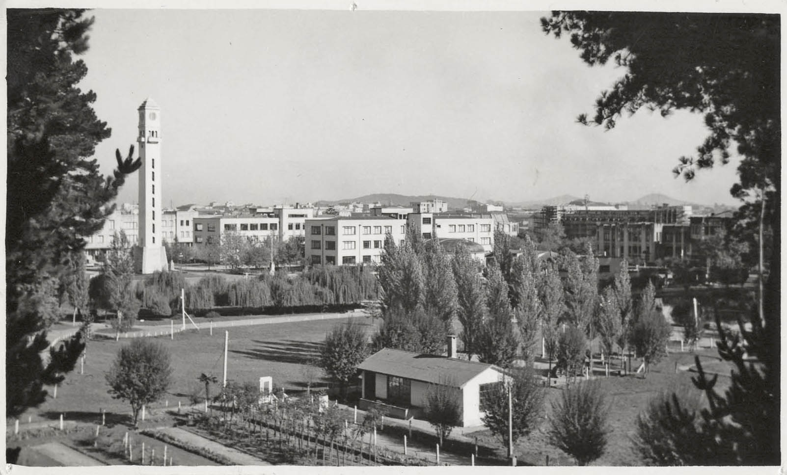 Vista de la Universidad de Concepción entre 1950-1960 | Archivo Fotográfico de la Universidad de Concepción