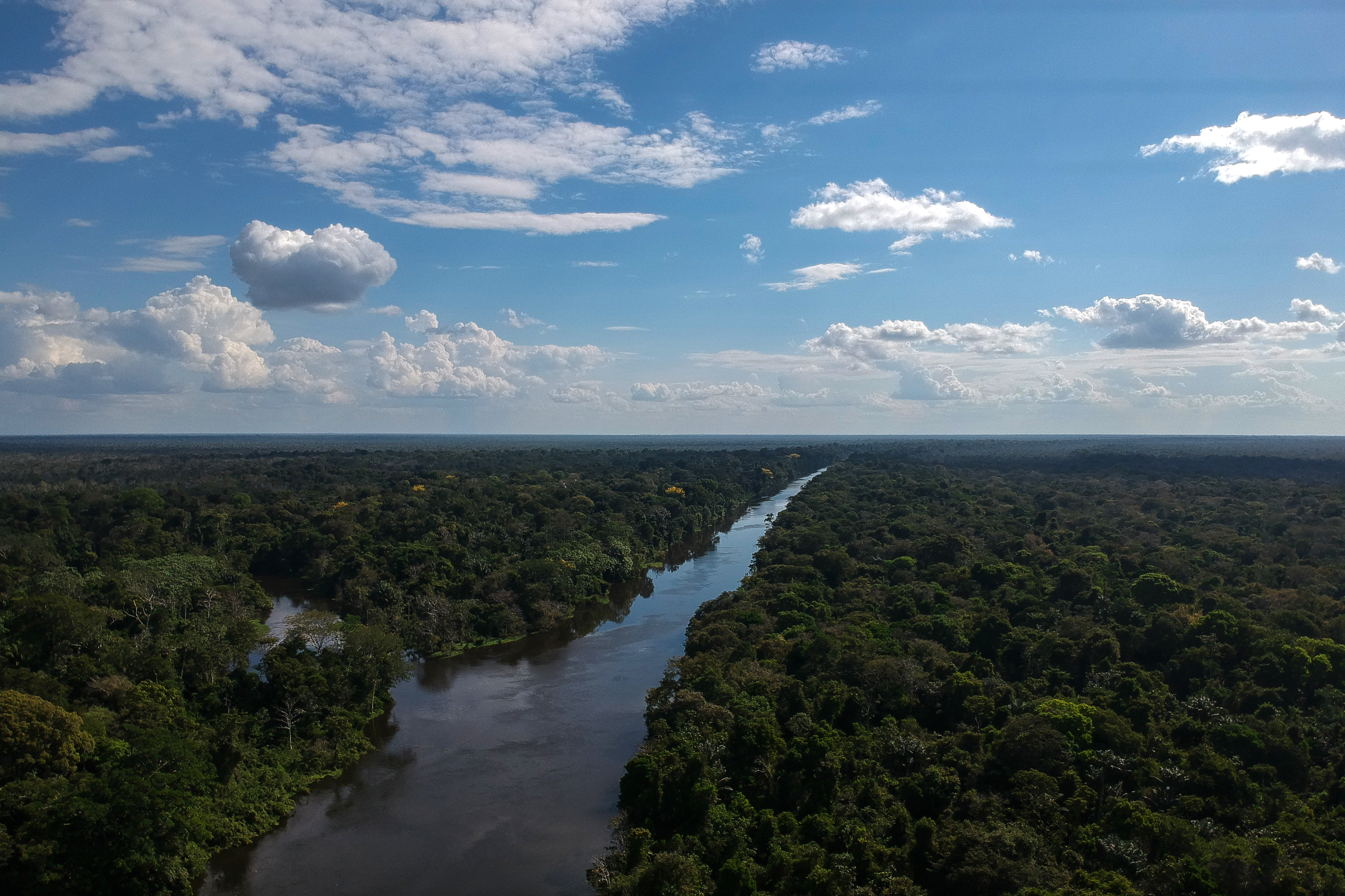 Amazonas | Mauro Pimentel | Agence France Press