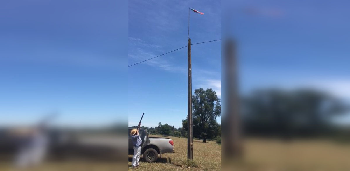 Captura de video