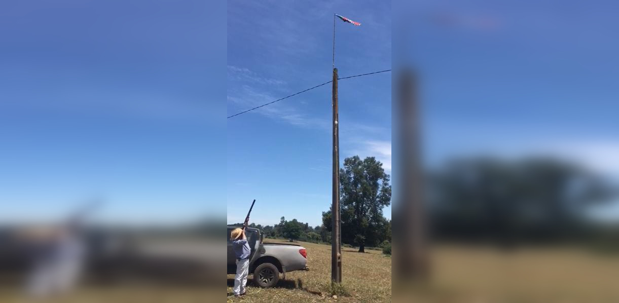 Captura de video