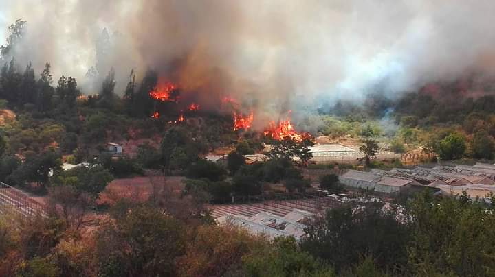 Emergencias V región