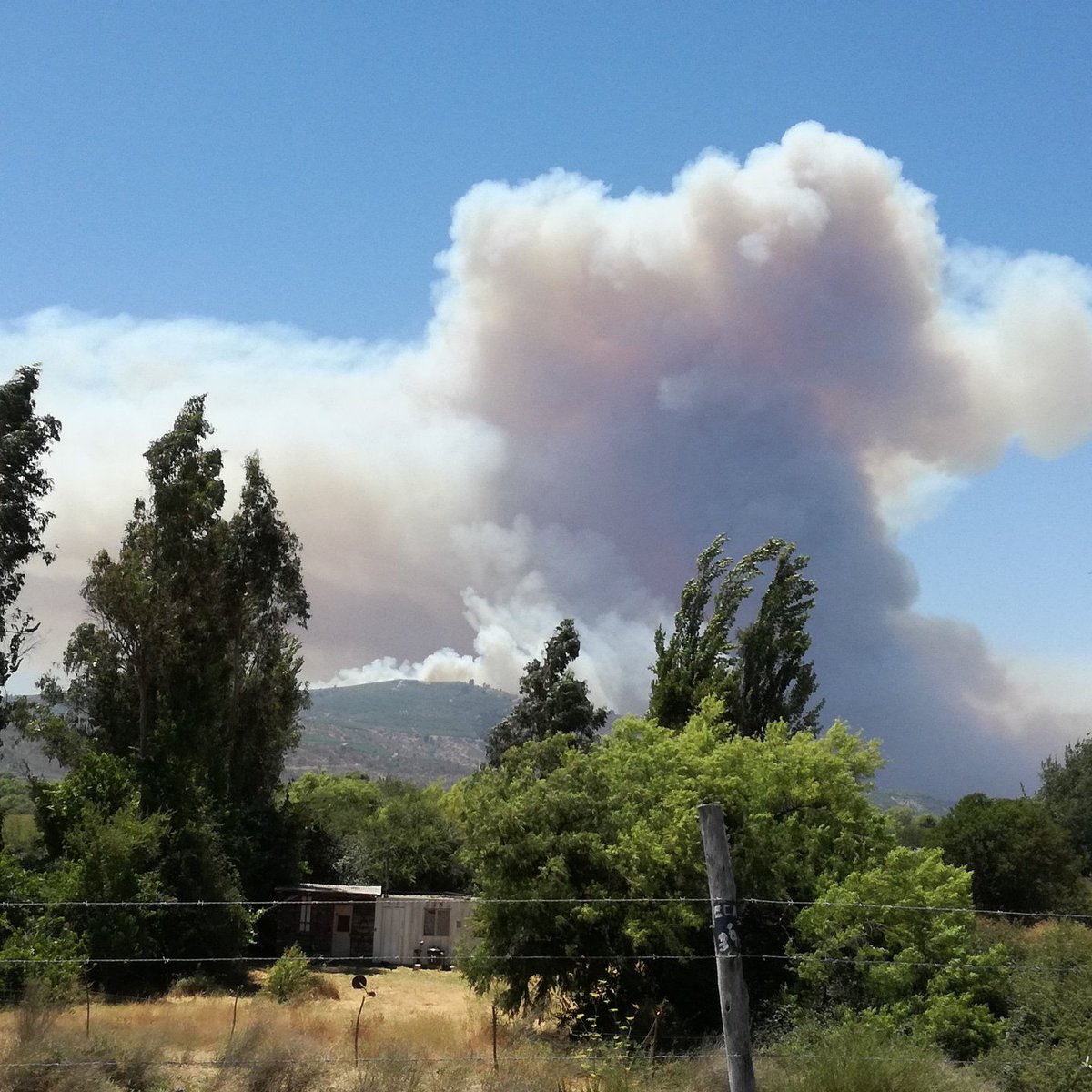 Twitter @Info5Chile
 