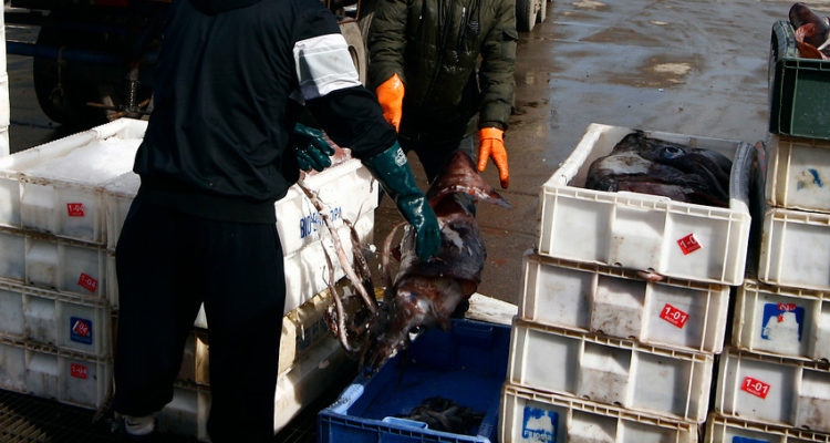 ARCHIVO | Victor Salazar | Agencia UNO