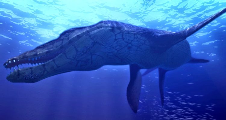 Paleontologos Encuentran Restos Fosiles De Un Pliosaurio En Calama