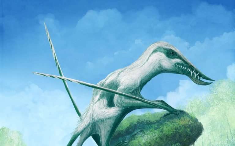 Retrato del Klobiodon Rochei | Obra de Mark Witton 