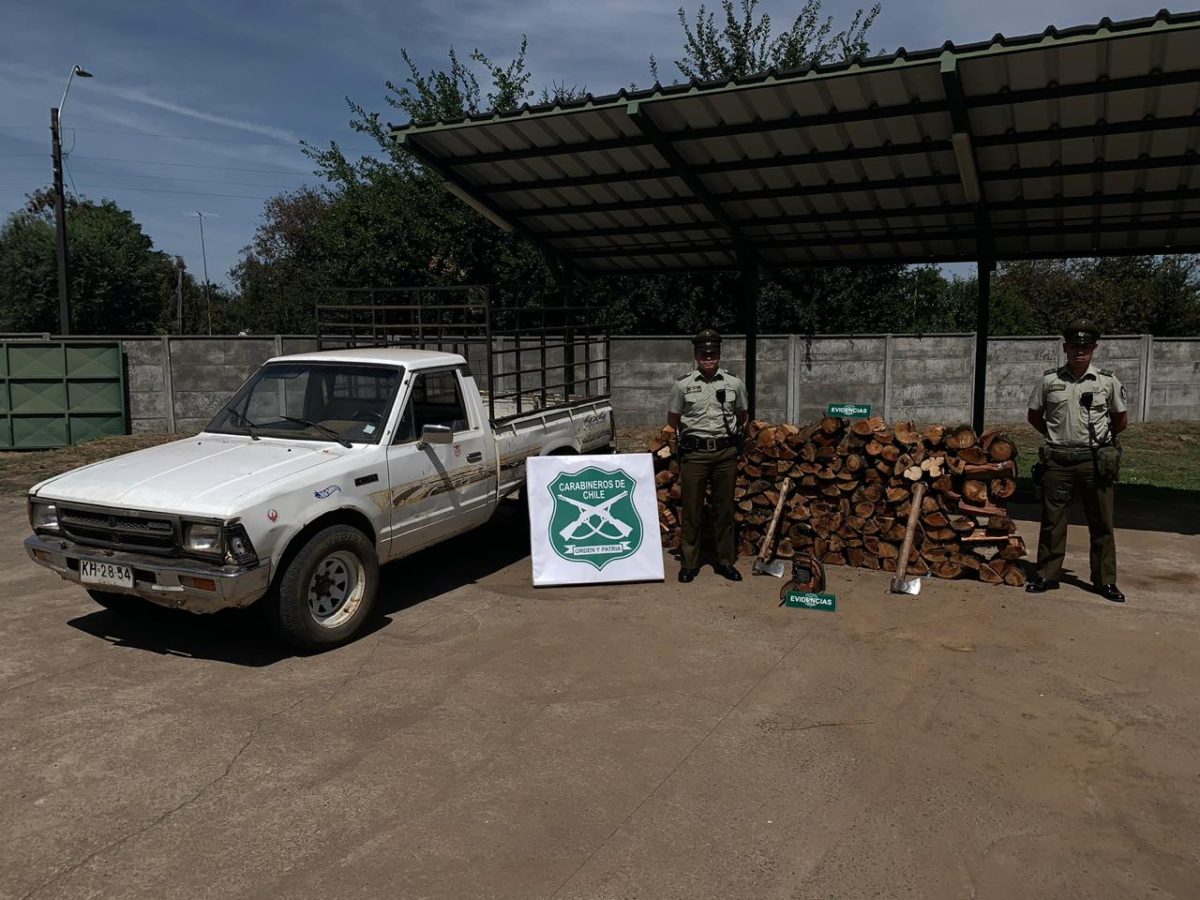 Dos Personas Terminan Detenidas Por Robo De Madera Desde Predio De