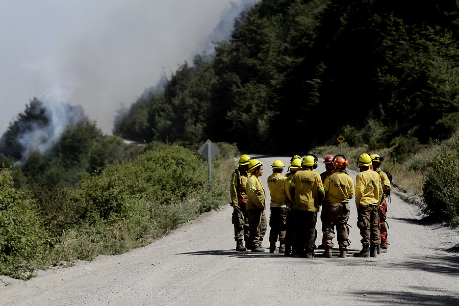 Incendio región de Aysén | AgenciaUNO