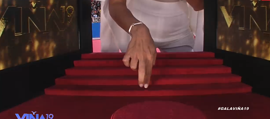 Camila Stuardo en la mani-cam | TVN