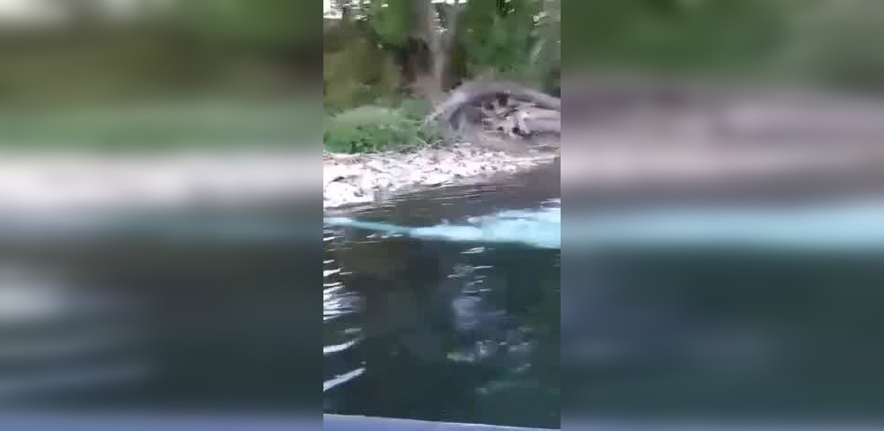 Captura de video 