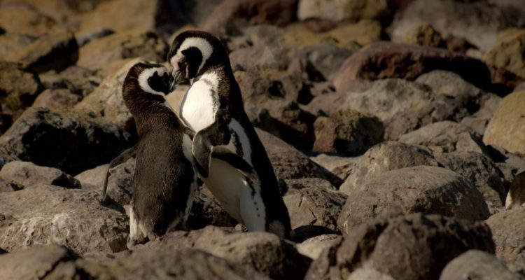 Imagen de contexto | PxHere CC0