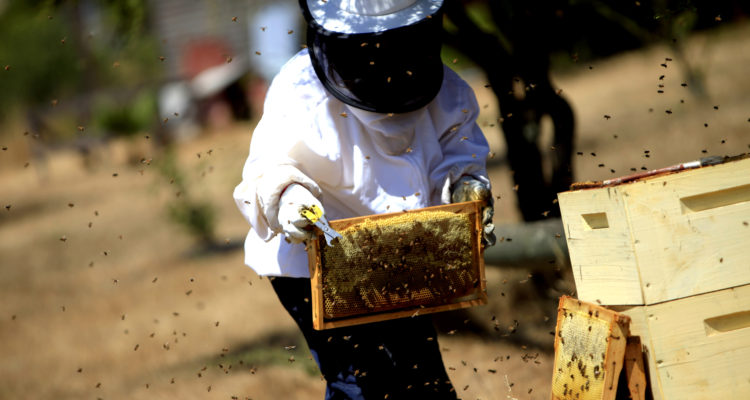 CONTEXTO  | Maribel Fornerod | Agencia UNO