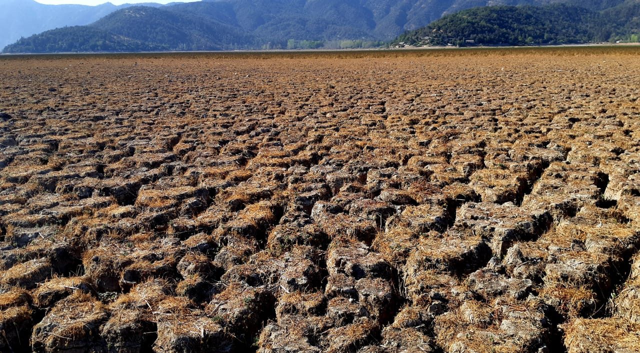 Laguna de Aculeo, marzo 2019. Emilio Lara | BBCL