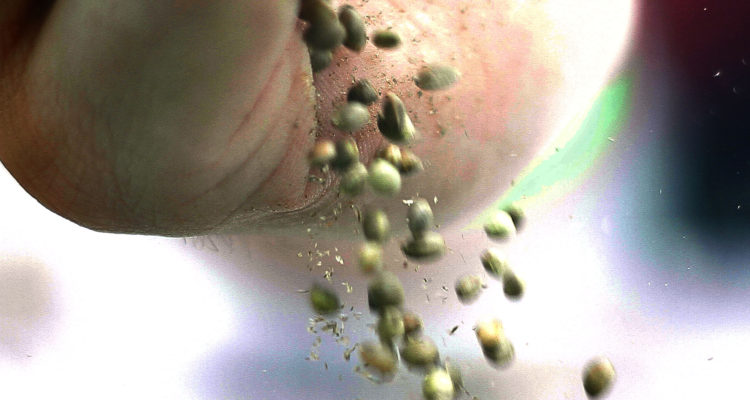 Contexto | Pedro Cerda | Agencia UNO