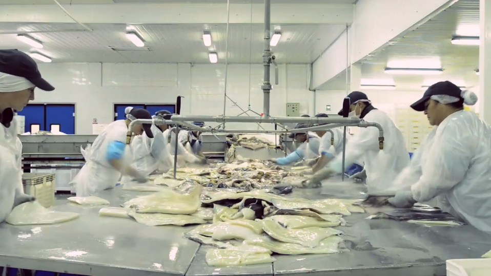 Captura de video | Landes.cl