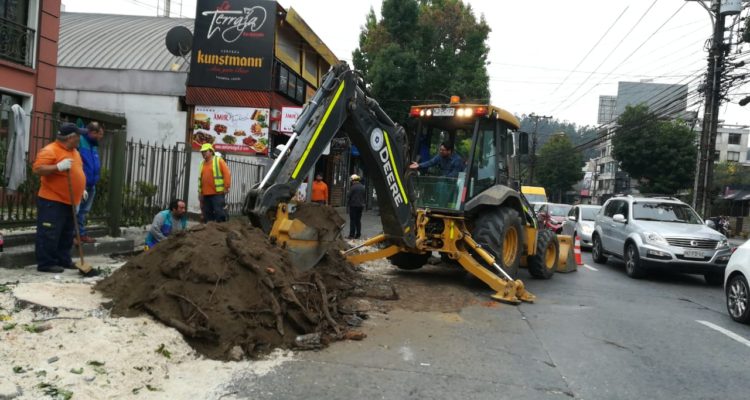 Valeska Belmar (RBB)