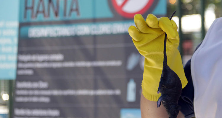 ARCHIVO | Agencia UNO
