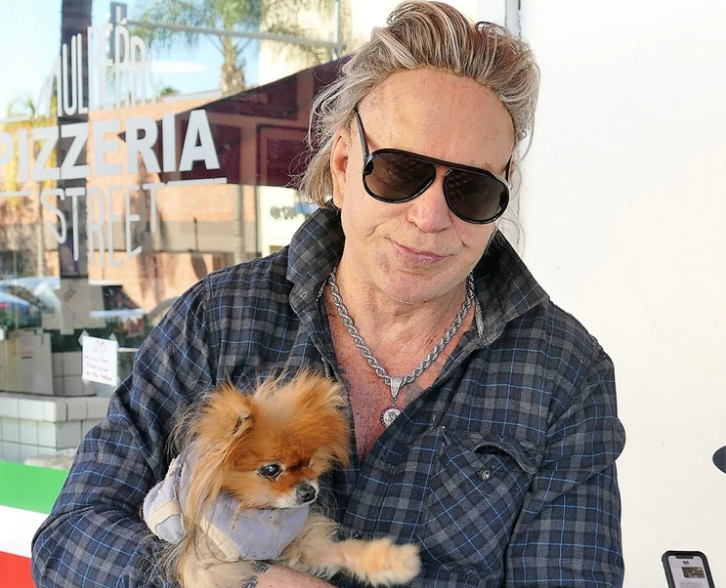 The Irregular Outlook of Actor Mickey Rourke After Years of Cosmetic