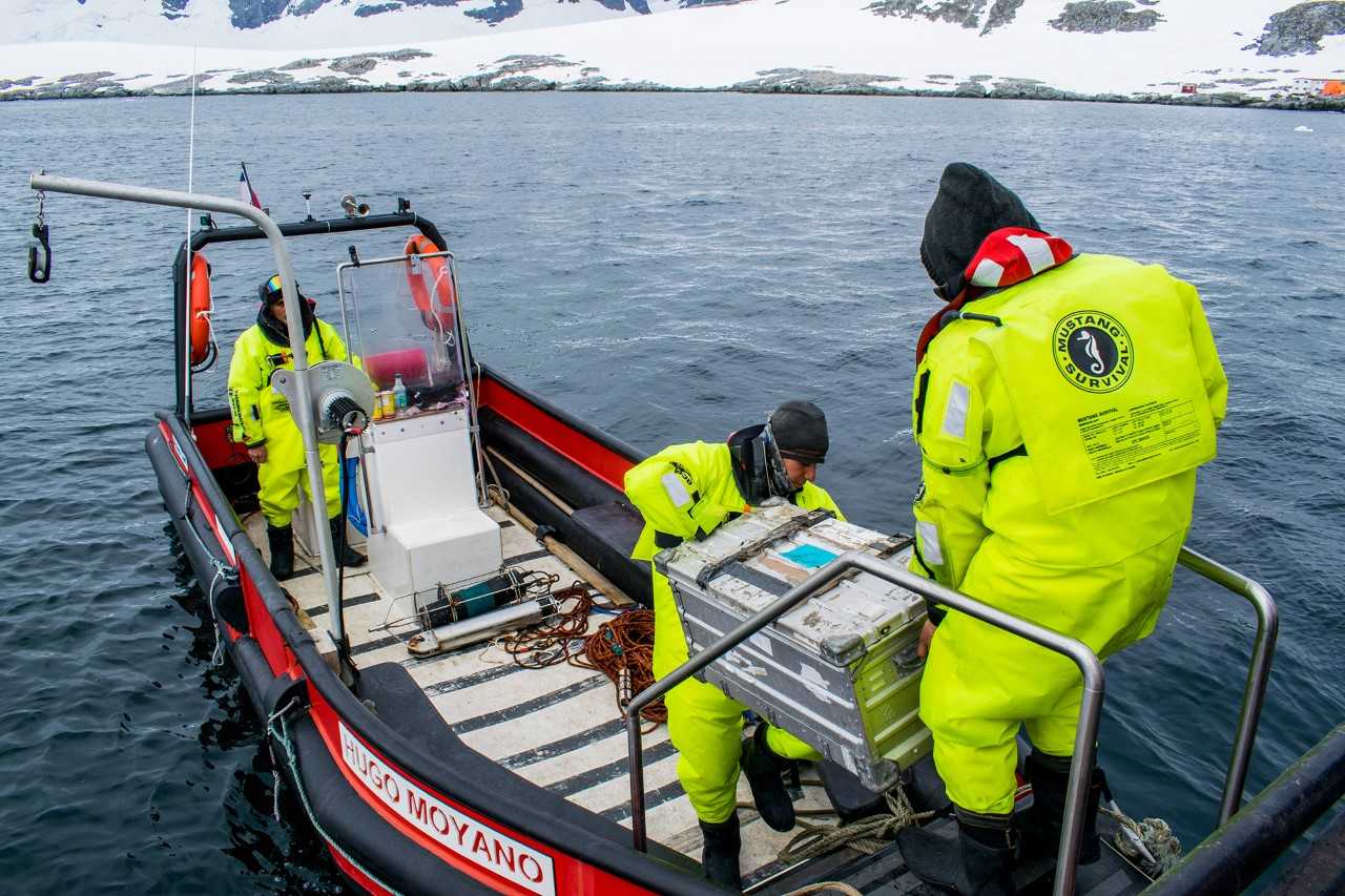 Primer sistema de monitoreo instalado por científicos del Centro IDEAL en bahía Sur, isla Doumer, península Antártica