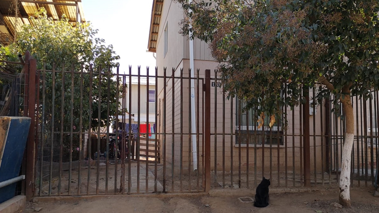 Casa de la pareja | Rodrigo Pino | RBB