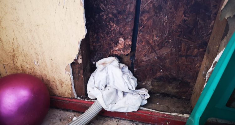 Robinson Cárdenas | RBB