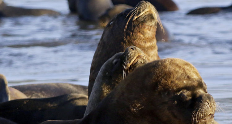 CONTEXTO | Alejandro Zoñez | Agencia UNO