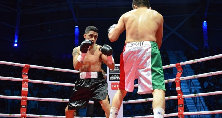 Boxeadores.cl
