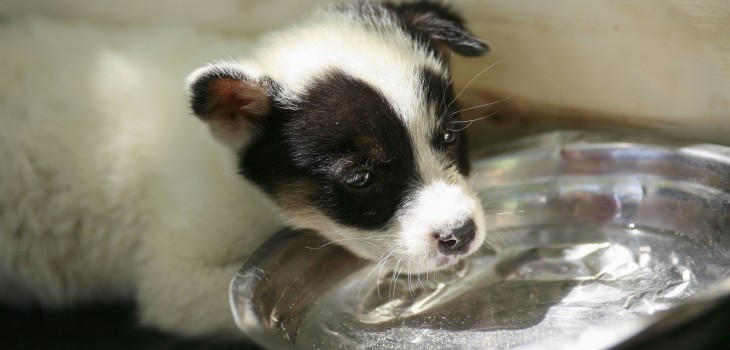 
Archivo | AgenciaUno