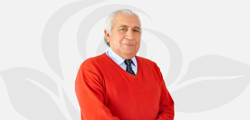 Municipalidad de Bulnes