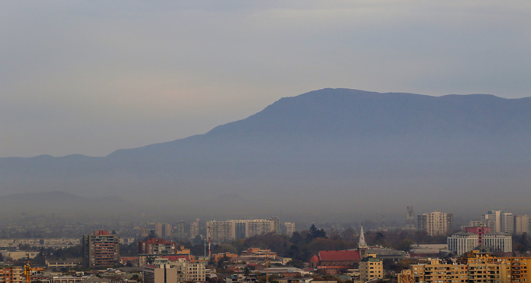 Hans Scott | Agencia Uno