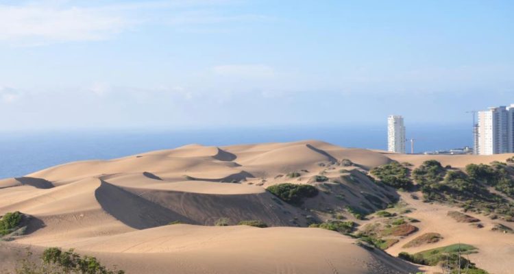 Archivo | Facebook Red Duna Libre