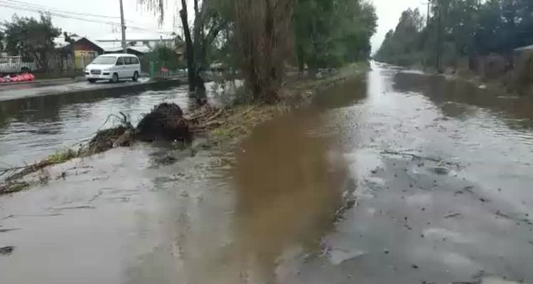 Captura de video 