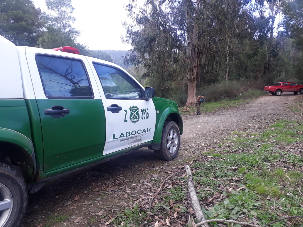 Archivo | Labocar