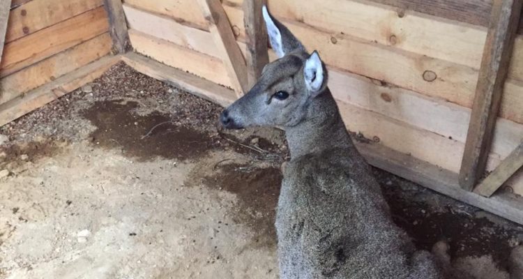 Ministerio de Agricultura