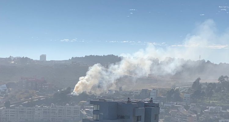 Carolina Cancino | Twitter