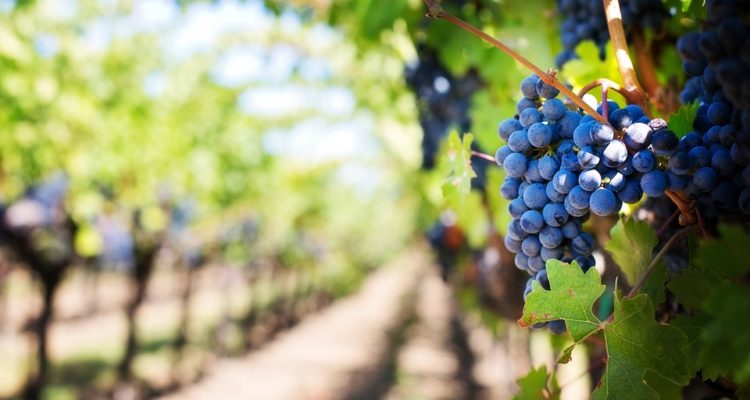 Contexto | Max Pixel