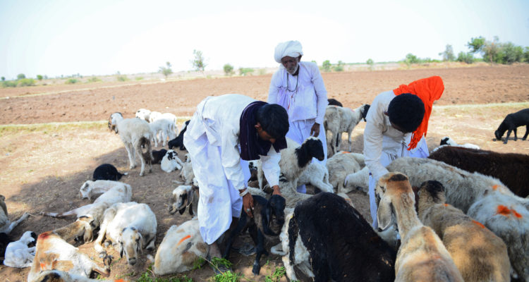 Sam Panthaky | Agence France-Presse