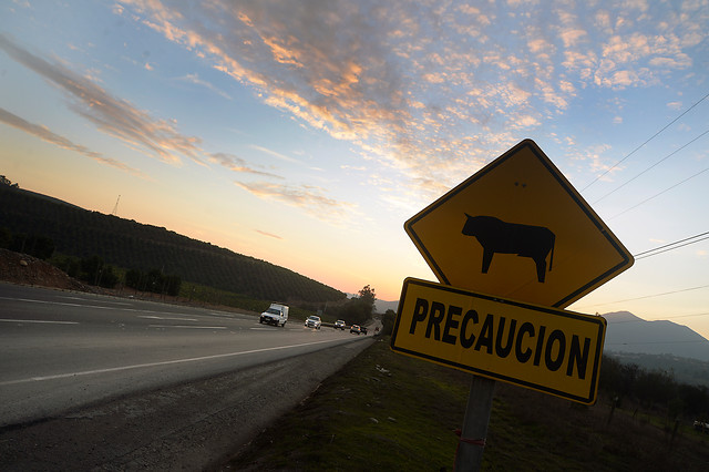 CONTEXTO | Agencia UNO