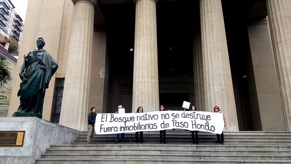 Facebook | @pasohondonativo