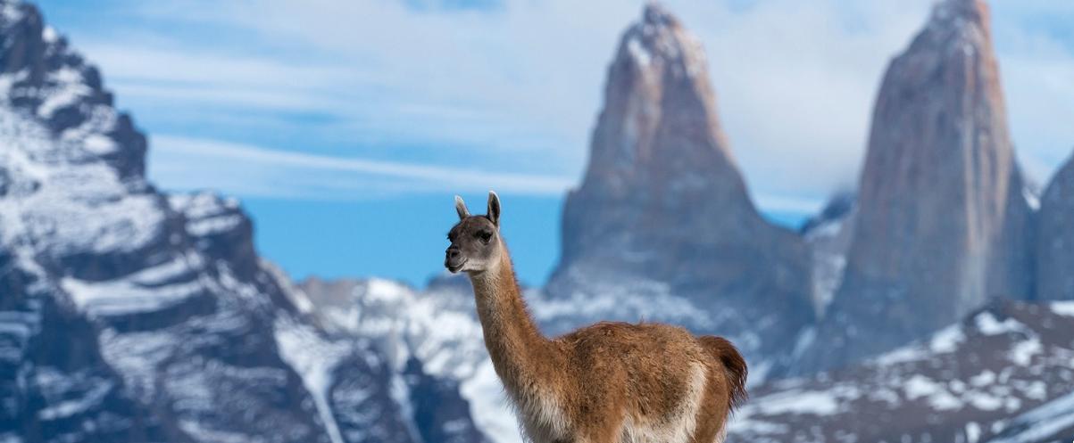 Sernatur