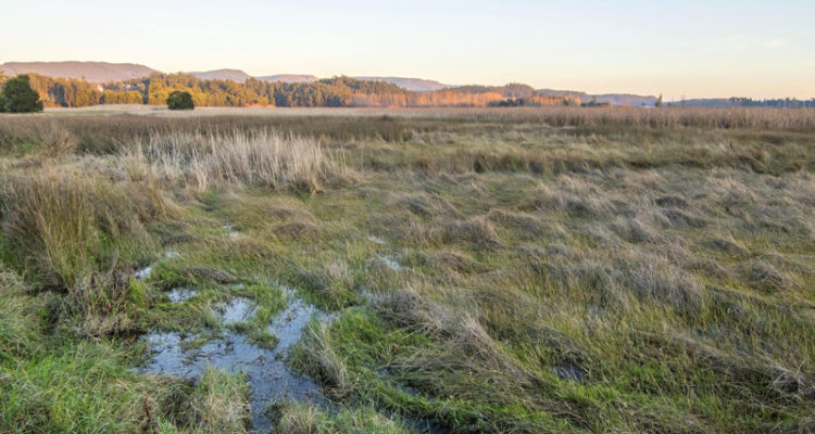 Archivo | Agencia Gradual