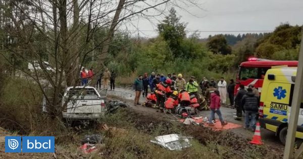 Cuatro lesionados deja choque de camioneta contra un árbol en Los Ríos ...