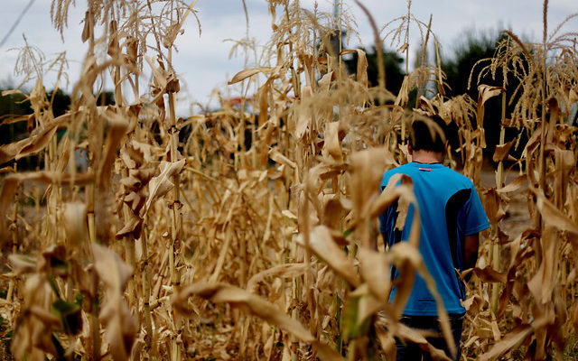 CONTEXTO | Agencia UNO