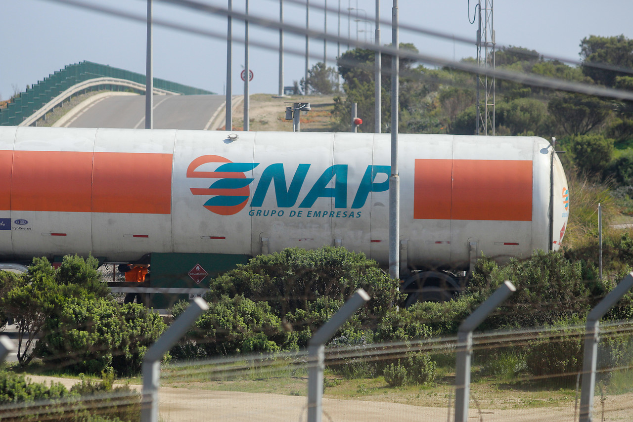 Archivo | Enap