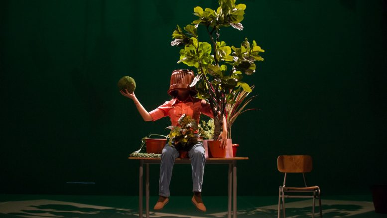 “Estado vegetal”