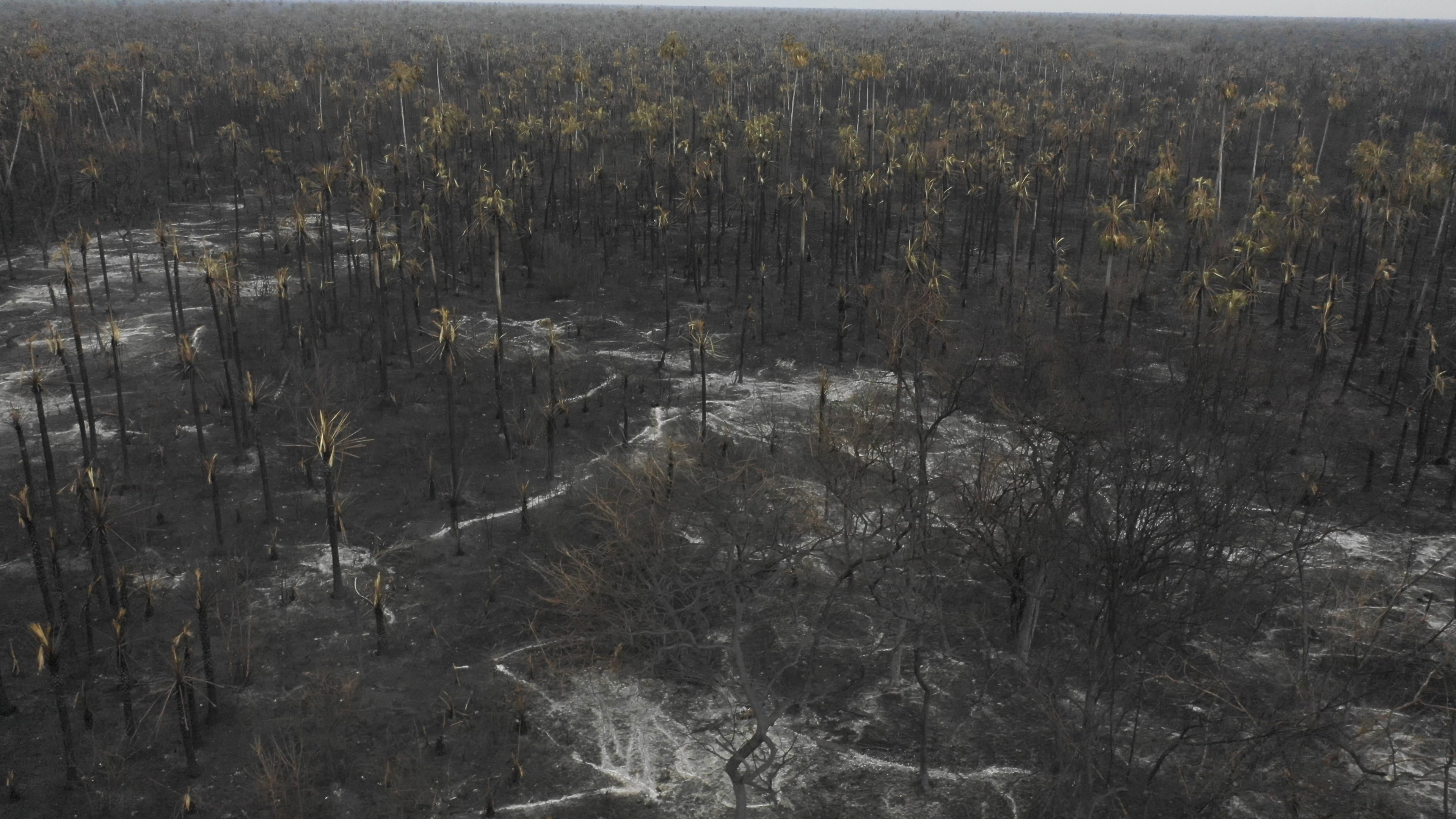 Parque nacional y área natural de manejo integrado Otuquis. Pablo Cozzaglio | Agence France-Presse