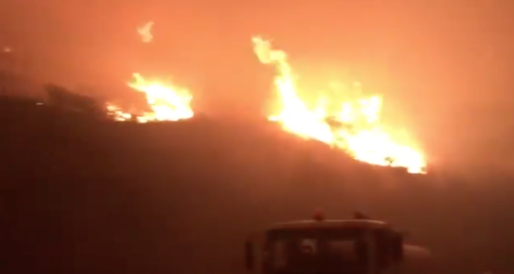 incendio-fuera-de-control-quema-miles-de-hectareas-en-gran-canaria-cerca-de-mil-personas-evacuadas-750x400.png