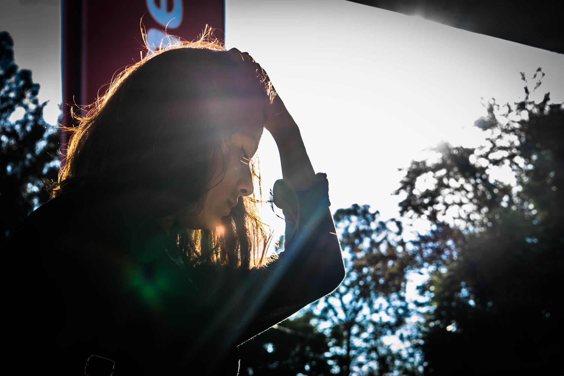 Pexels (CCO) 
