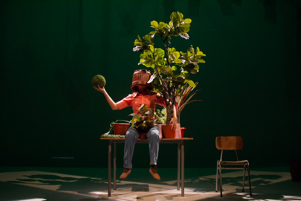 Estado Vegetal – Cedida