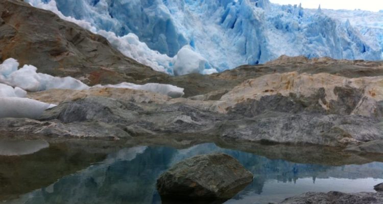 Denisse Charpentier | BBCL