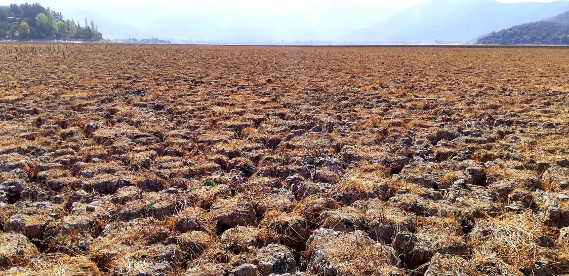 Laguna de Aculeo en 2019. Emilio Lara (BBCL)